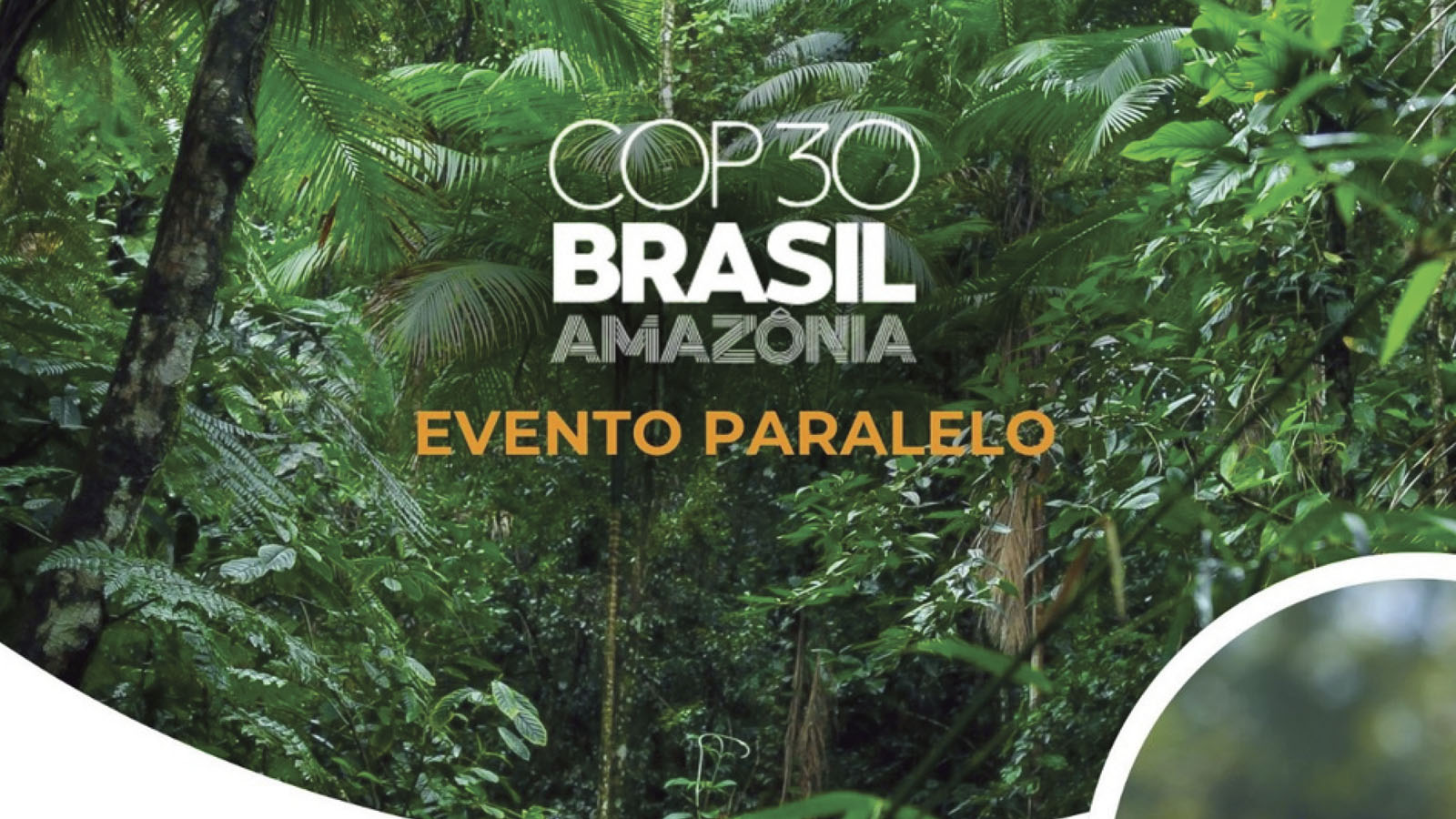 ACTUALIZACIÓN DIARIA N.1 – COP30