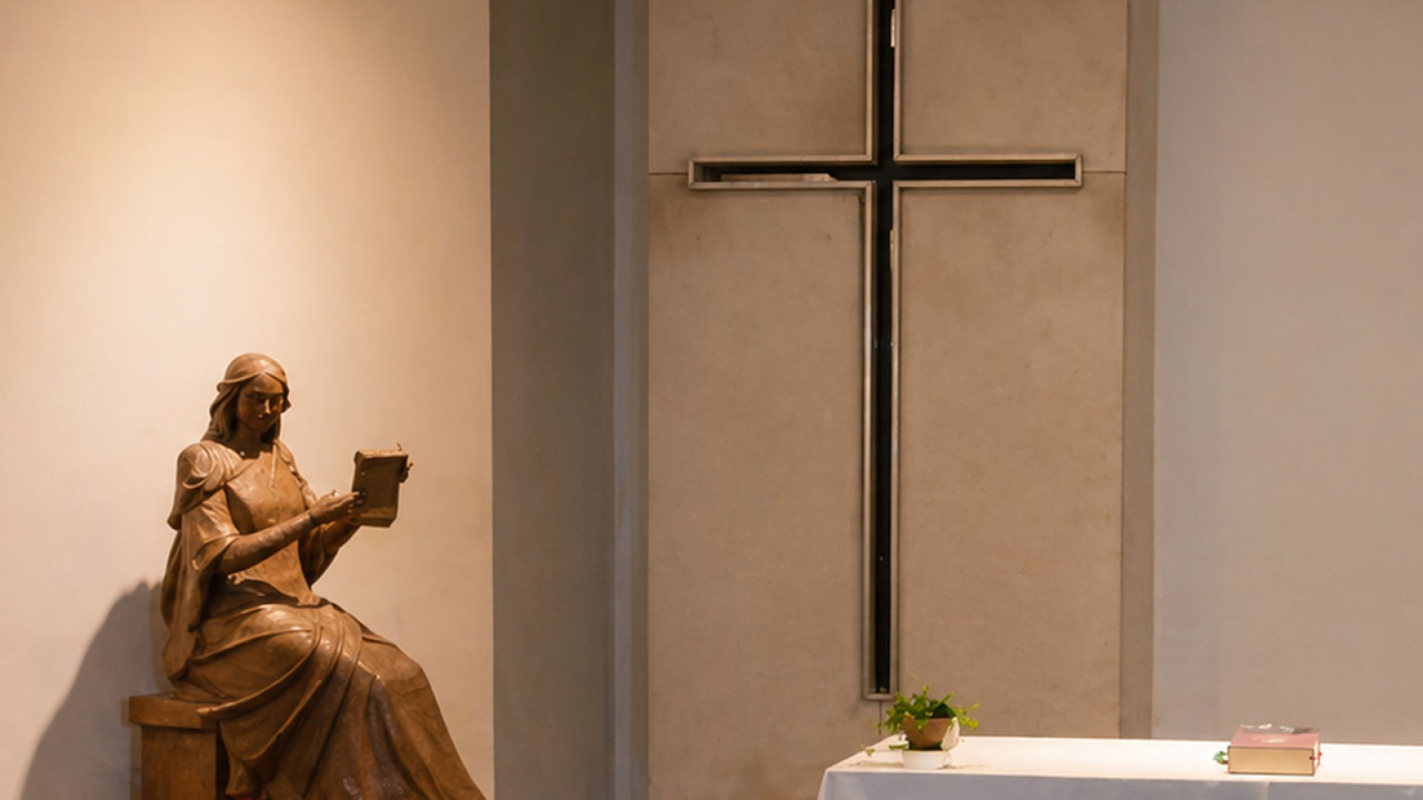 LA VIÑA JOVEN EN CAMINO HACIA UNA FORMACIÓN TRANSFORMADORA PARA LA MISIÓN UNIVERSAL